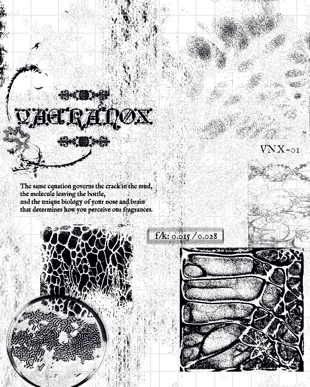 VAERANOX simulation preview